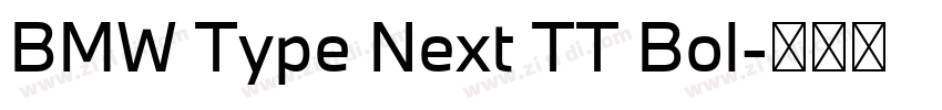 BMW Type Next TT Bol字体转换 BMW Type Next TT Bol字体转换